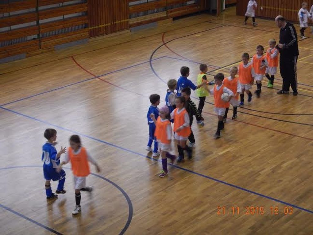 Lokomotiva hala 2015 mini 3