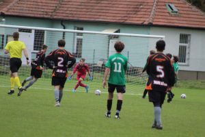 dorost_liskovec_3
